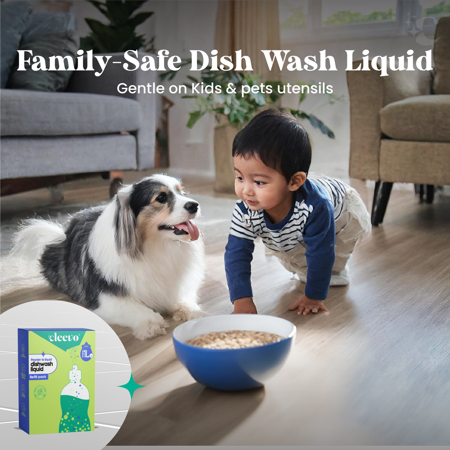 Dishwash Cleaner Combo