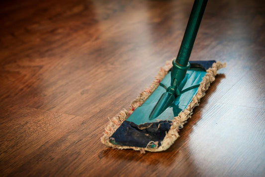 How To Remove Flies From Bathroom